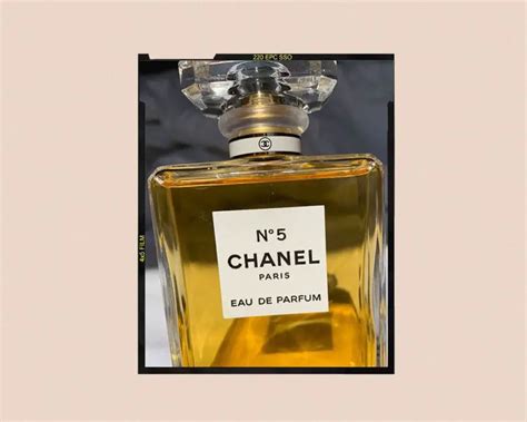 chanel 5 perfume chile|what does Chanel no 5 smell like.